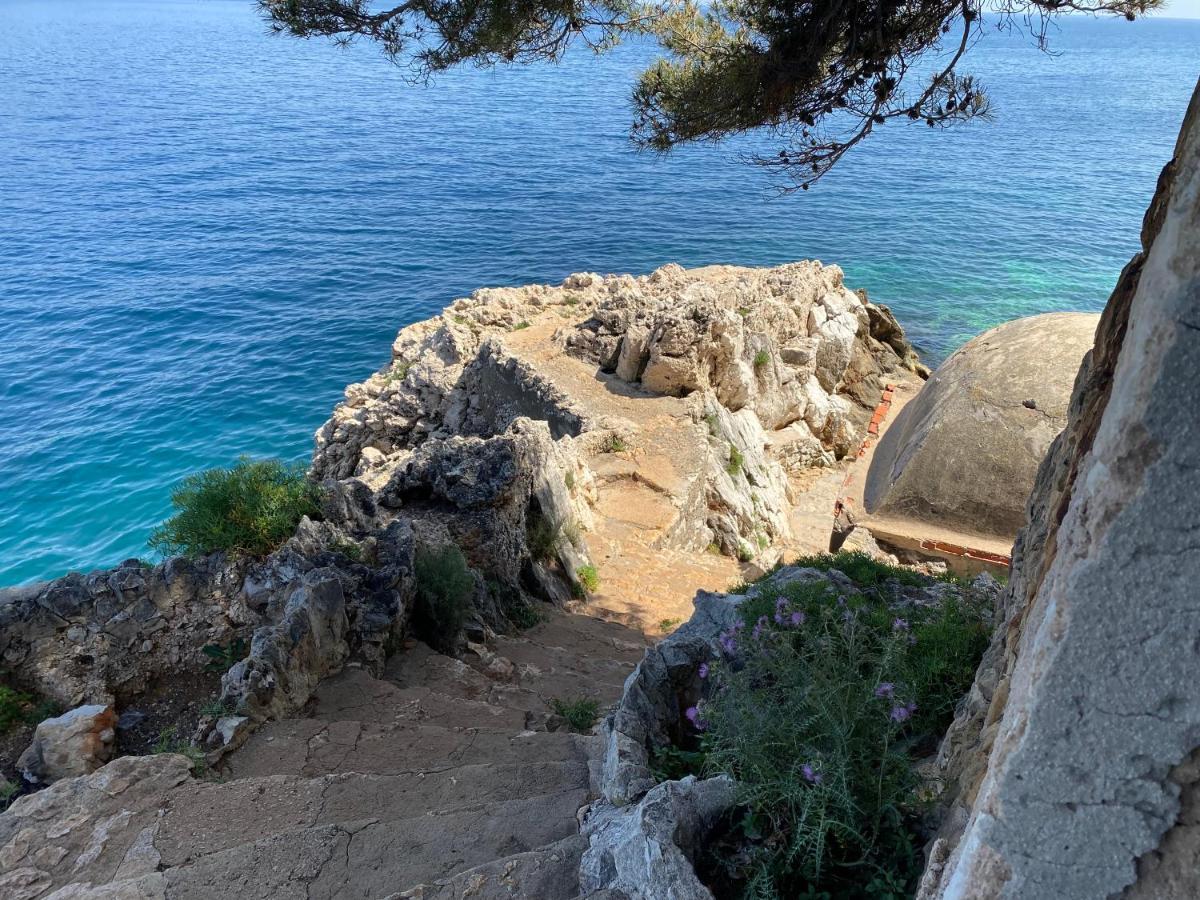 Riviera Dreams Of Life Bed and Breakfast Nice Buitenkant foto